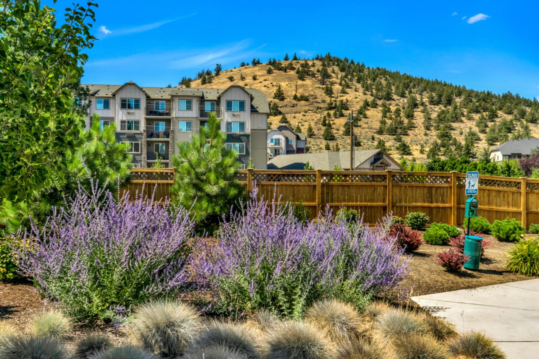 Building exterior with lots of landscaping, large hill in the background