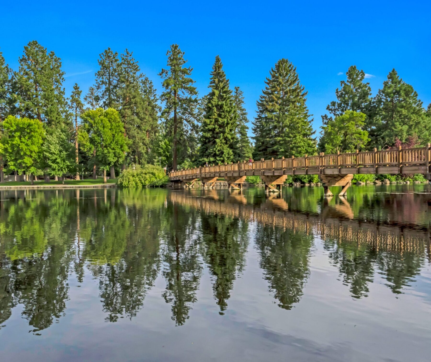 A long pedestrian bridge over water with large trees on the other side